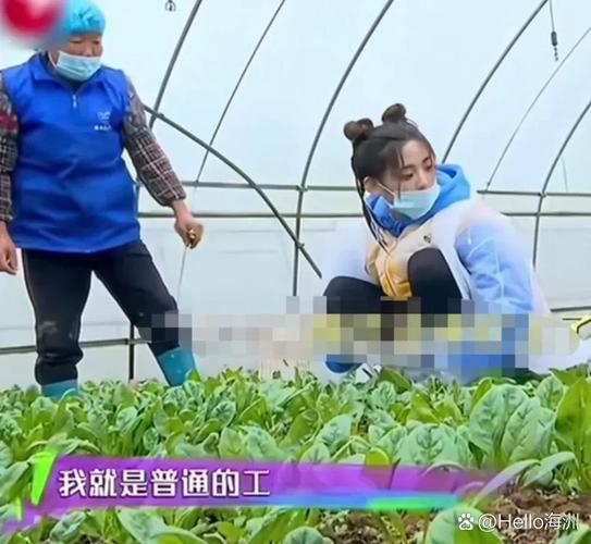 薛之谦:"超越,如果你没有干艺人这行,杨超越厂里打工图杨超越在工厂